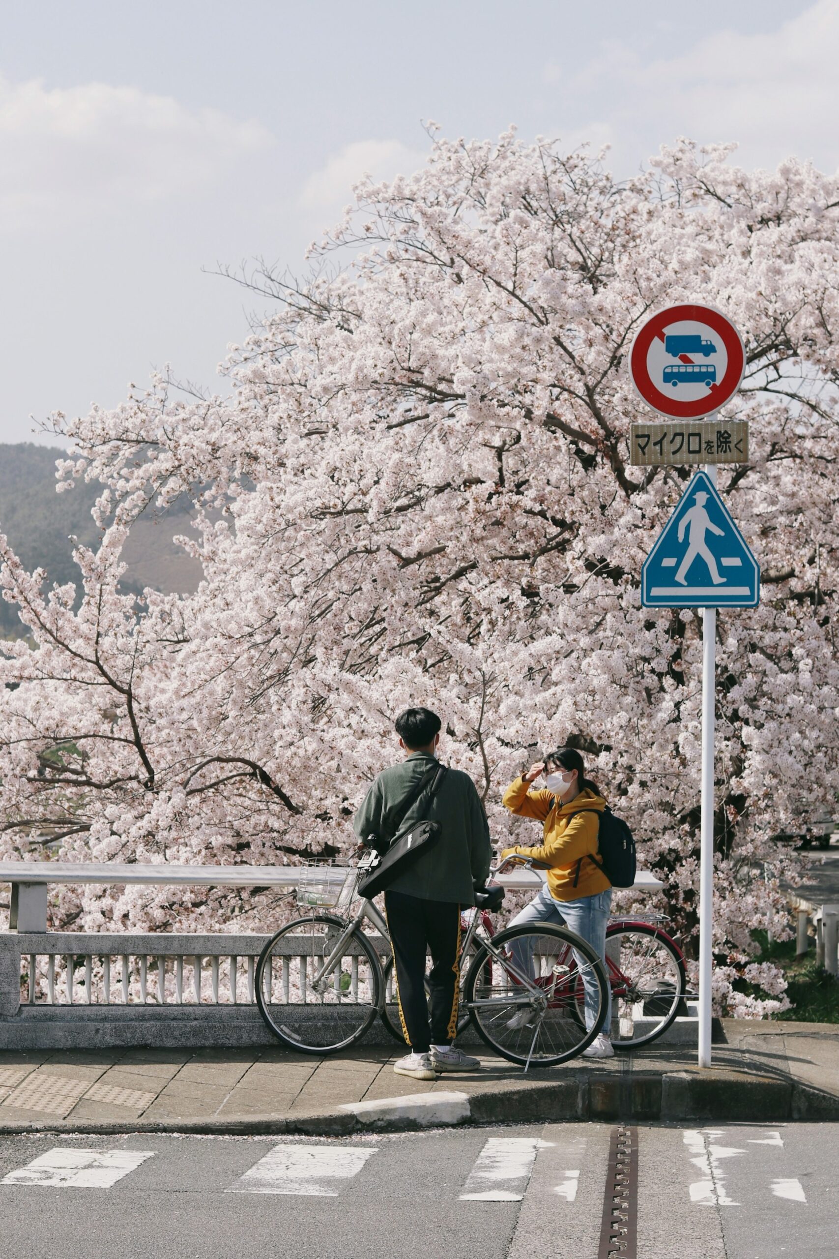 amy-tran-woQFkoI8WdE-unsplash